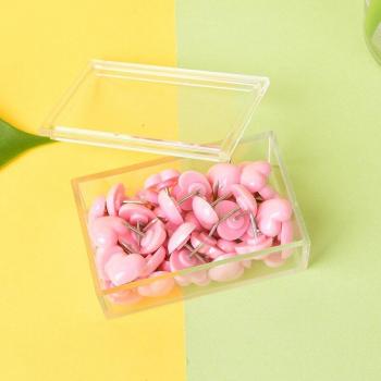 Accesorios Escolar Amoroso: 50 Unidades