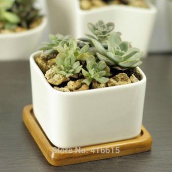Simple White Square Pot with Bamboo Tray for Desktop Decoration