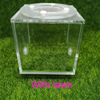 Unique Ants Farm House 7x7x7cm