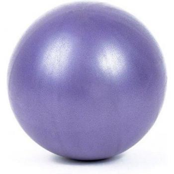 Gymnastic Fitness Balance Ball 25cm