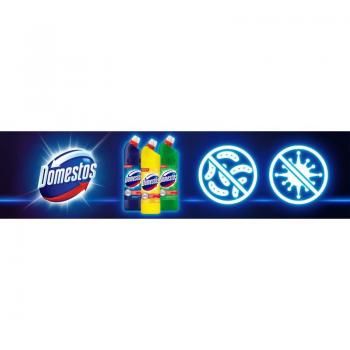 Domestos PowerClean 24 h
