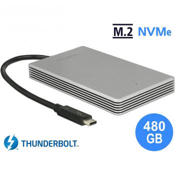 DeLock Thunderbolt 3 Mobile SSD 480 GB – M.2 PCIe