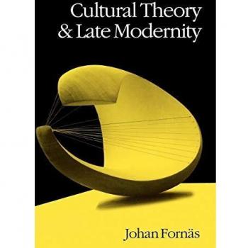 Cultural Theory and Late Modernity