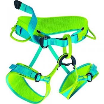 EDELRID Damen Klettergurt Jayne L – Grün (Damenmodell)
