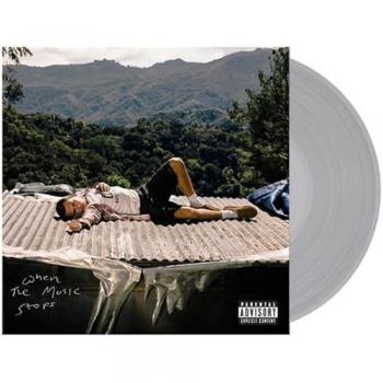 When The Music Stops [Vinyl LP]