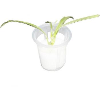 100Pcs Wide Lip Hydroponic Cups