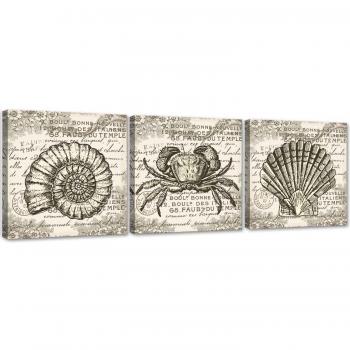 Collection de tableaux Coquillages rétro 90x30 en gris