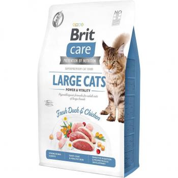Brit Care Fido Food Anatra & Pollo per Gatti Adulti – 2 Kg (Grano‑Free)