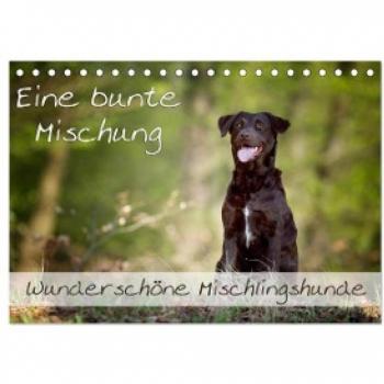 Eine bunte Mischung