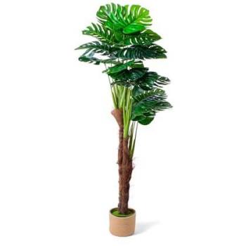 Plante Décorative Monstera – Artificielle, Hauteur 160 cm
