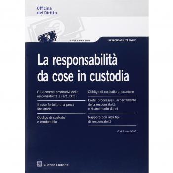 Responsabilita' da cose in custodia