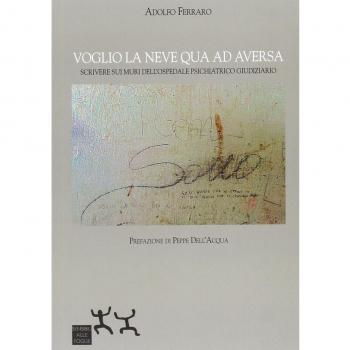 Voglio la neve qua ad Aversa. Scrivere sui muri dell'ospedale psichiatrico giudiziario