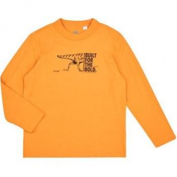 T-Shirt Lange Mouw Timberland TEE-SHIRT MANCHES LONGUES T60301