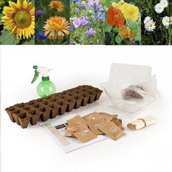 Ensemble de 30 sachets de graines de fleurs avec pot, étiquettes et bacs à semis