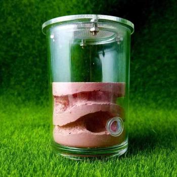 Reptile Terrarium Ant Nest