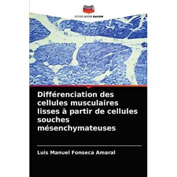Différenciation des cellules musculaires lisses à partir de cellules souches mésenchymateuses