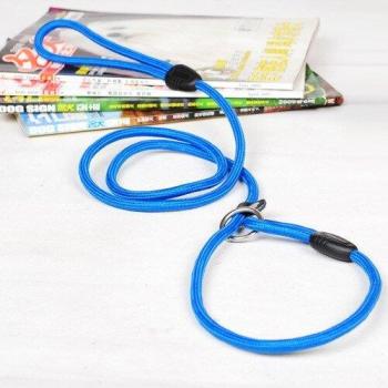 Collar de tracción para mascotas, correa de nailon dorado, 5 opciones de color
