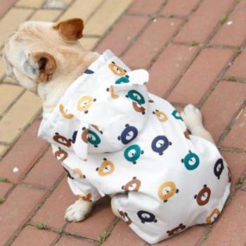 Small Dog Raincoat for Poodle and Bichon
