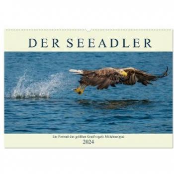Wandkalender 2024 Der Seeadler