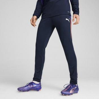 PUMA Sporthose Herren IndividualLIGA Blau M