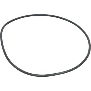 Getriebe Dichtungsring EURORICAMBI 95536282