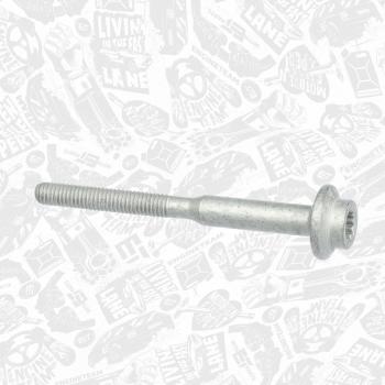 Tornillo Fijo para Inyector ET-ENGINETeam BS0043