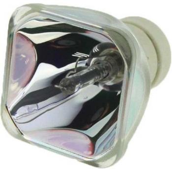 Projector Lamp Module LMP-E212 for Sony