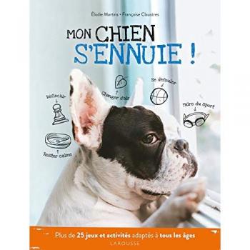 Mon chien s'ennuie !: Plus de 25 jeux et activités adaptés à tous les âges