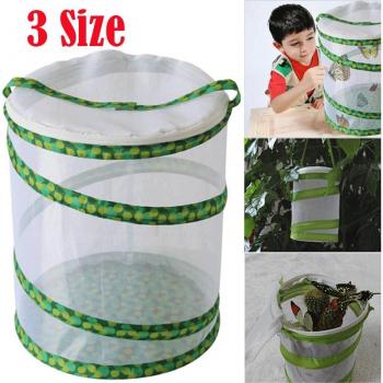 Cage d'Insectes Mante Religieuse