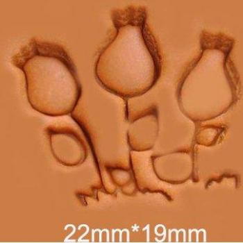 PetalPress DIY Natural Soap Imprint Tool