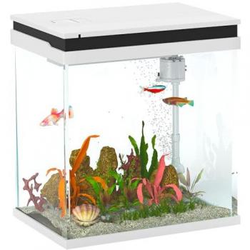 14L Small Glass Fish Tank with Integrated Filter and LED