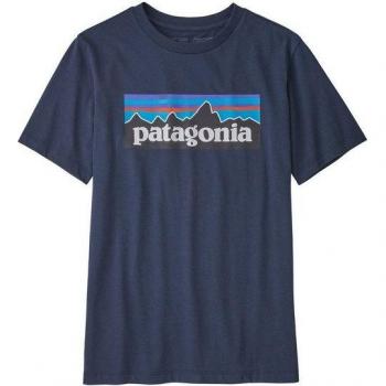 Patagonia Kinder T-Shirt mit P-6 Logo aus regenerativer Bio-Baumwolle