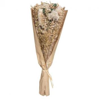 Atmosphera Créateur d'Intérieur – Chardon Blanc