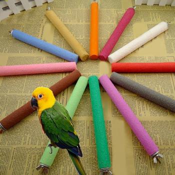 Paw Grinding Bites for Parrots