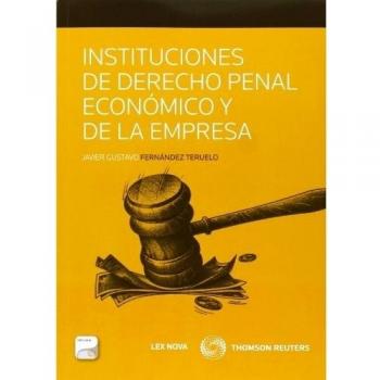 Instituciones de derecho penal económico y de la empresa