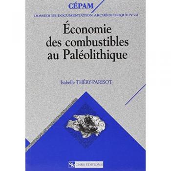 Economie Des Combustibles Au Paléolithique