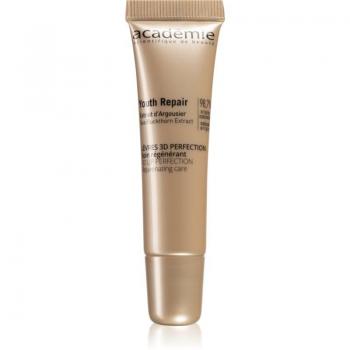 Academie Lippenpflege 3D Perfektion 15 ml