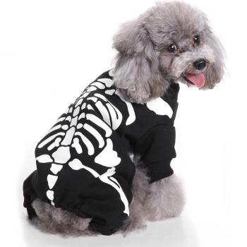Garras y Sombras: Ropa de Halloween con Esqueleto