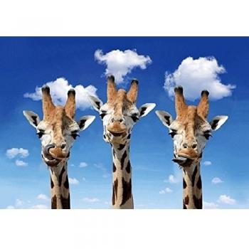 Postkarte Giraffen 3D