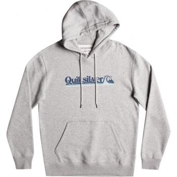 Sudadera con Capucha Quiksilver Gris All Lined Up