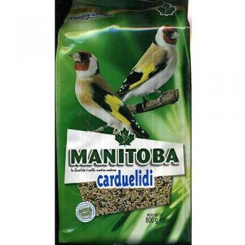 Carduelis carduelis Manitoba 0,8 kg