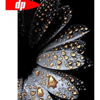 Point-Croix Diamantique 5D – Kit Florale Ronde 20x30cm