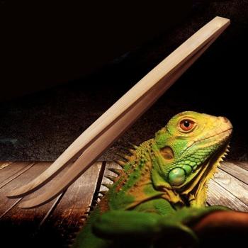Reptile Cleaning Tweezers