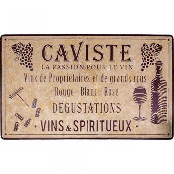 Plaque Murale Fer 122,5 x 74 cm
