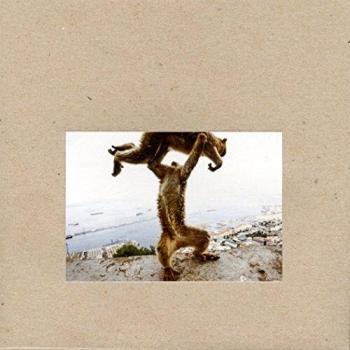 Dude Incredible by Frightened Rabbit