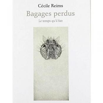 Bagages perdus