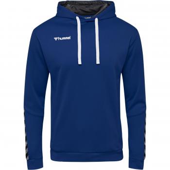 Hoodie Hummel hmlAUTHENTIC Poly Bleu männlich