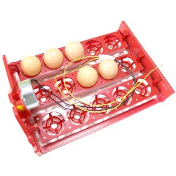 15-Egg Automatic Egg Turner Incubator