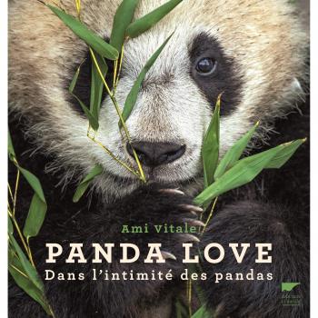 Panda Love: Dans l'intimité des pandas