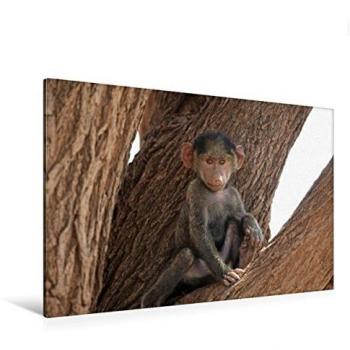 CALVENDO Premium Textil‑Leinwand 120 × 80 cm – Tierkinder Afrikas, farbenfrohe Natur